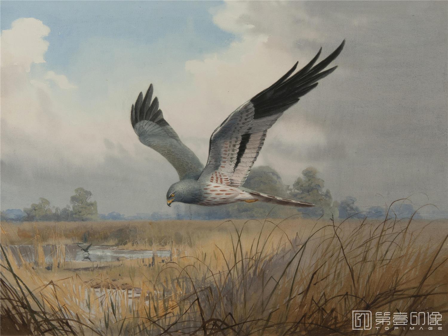 油画-约翰.赛里尔·哈里森 John Harrison作品集-138